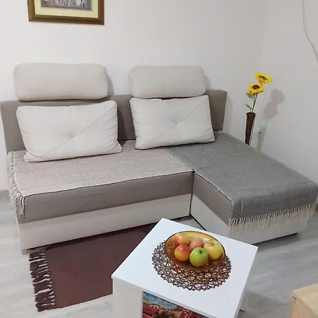 Plaza 9 Srebrno Jezero Apartamento *