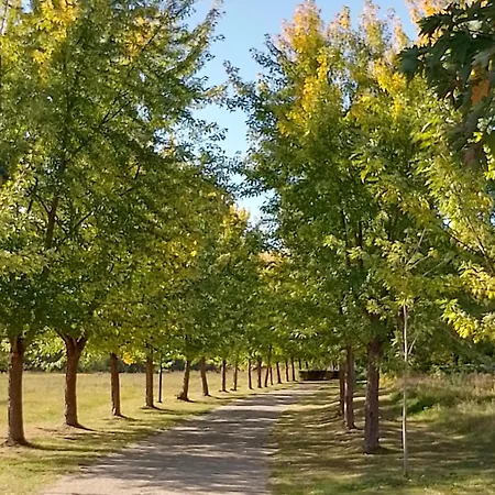 Apartamento Plaza 9 Srebrno Jezero