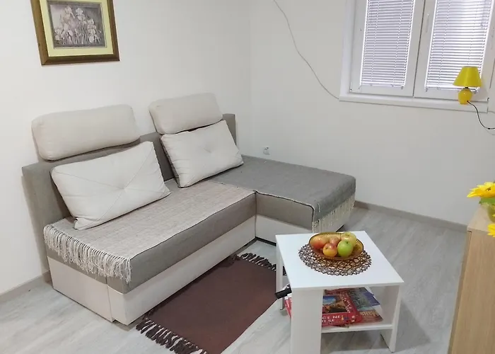 شقة Plaza 9 Srebrno Jezero