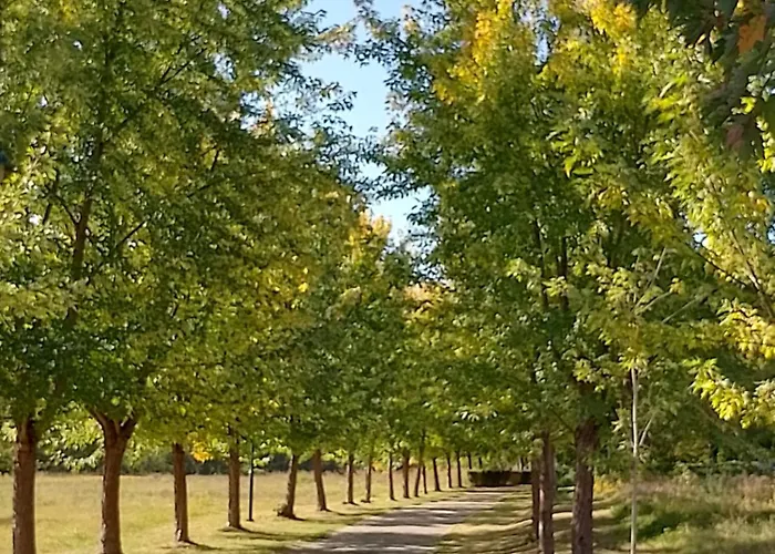 شقة Plaza 9 Srebrno Jezero